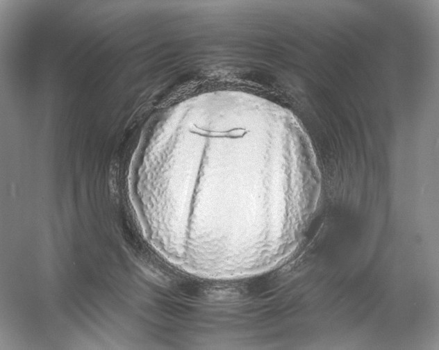 X0000054370175200508262351