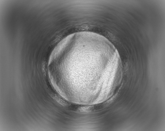 X0000054370178200508262351