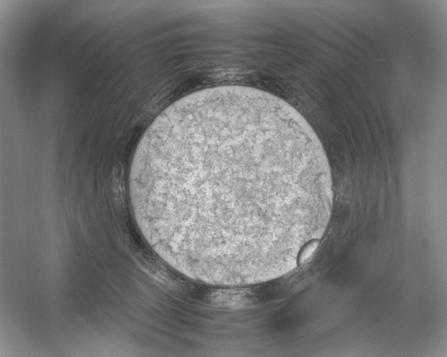 X0000054370179200508262351