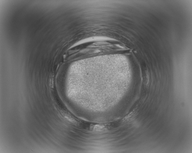 X0000054370180200508262351