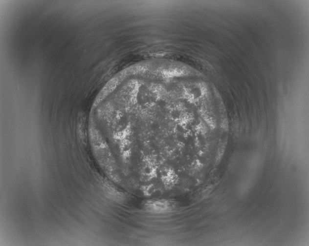 X0000054370181200508262351