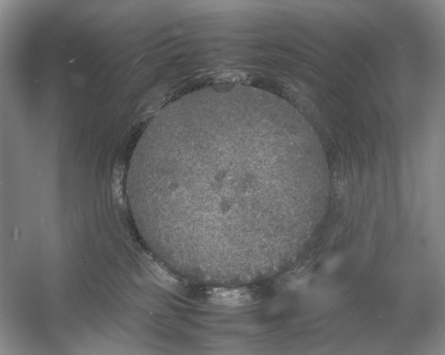 X0000054370185200508262351