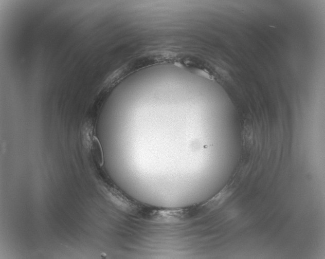 X0000054370188200508262351