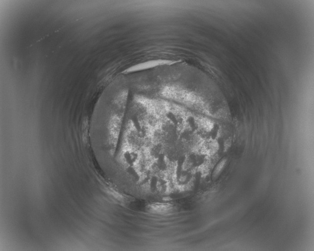 X0000054370189200508262351