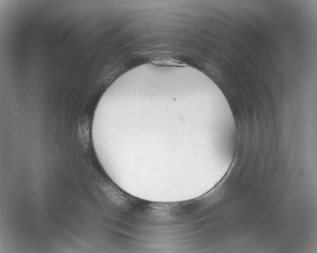 X0000054370190200508262351