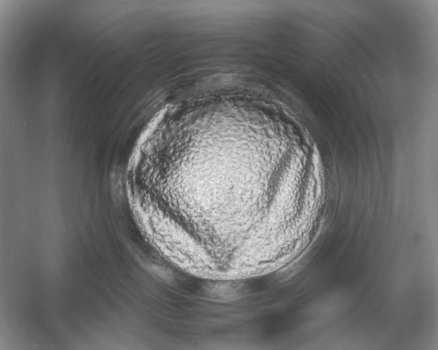 X0000054370191200508262351