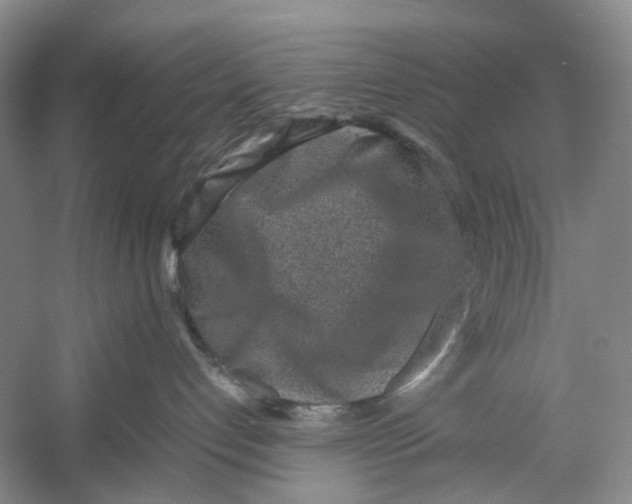 X0000054370192200508262351