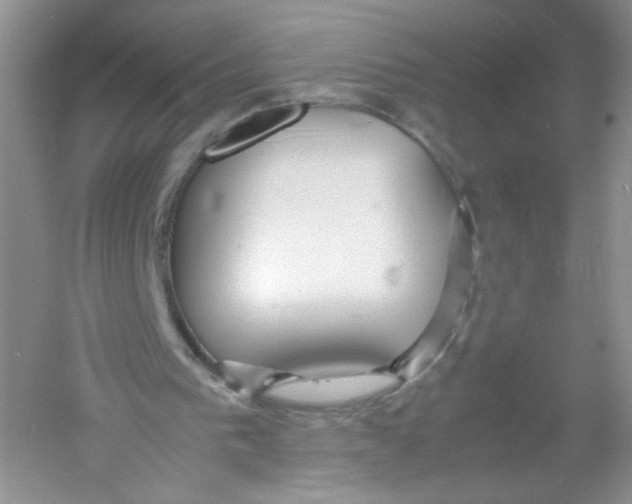 X0000054370193200508262350