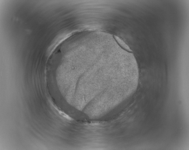 X0000054370194200508262350