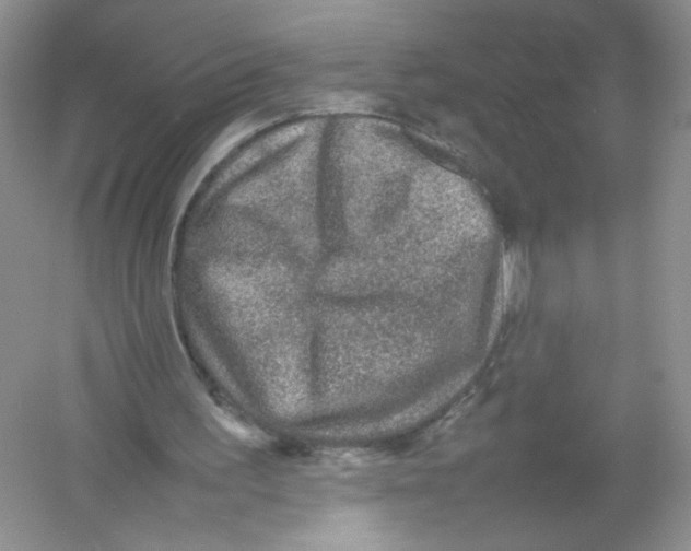 X0000054370195200508262350