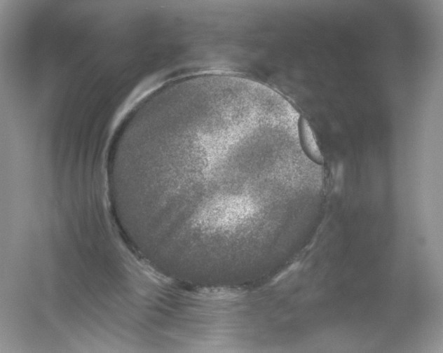 X0000054370198200508262350