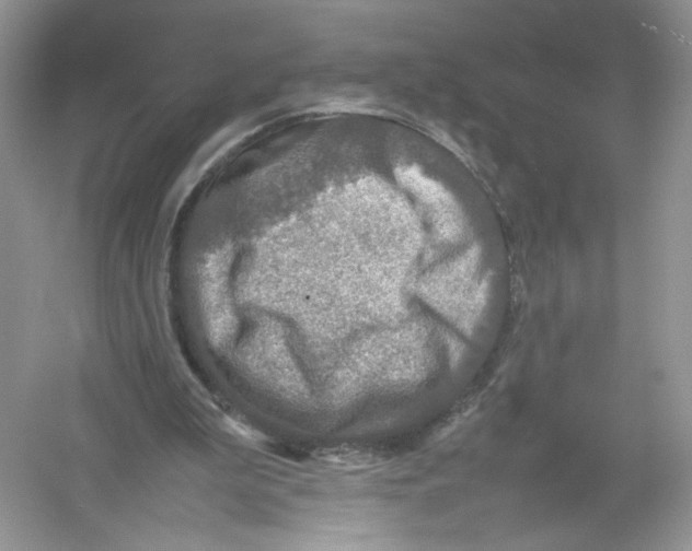 X0000054370199200508262350