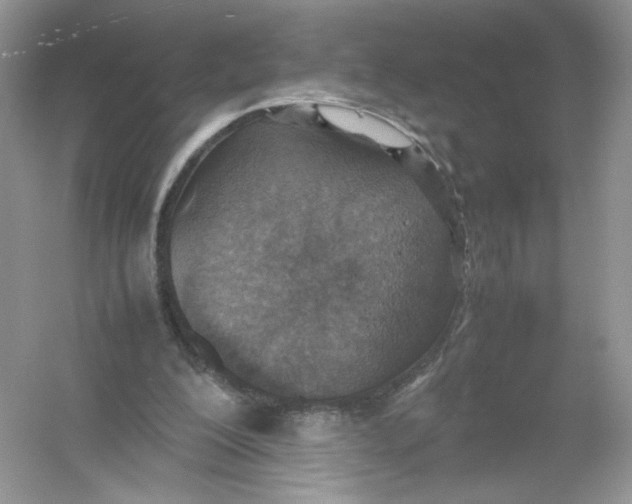 X0000054370200200508262350