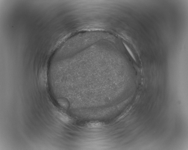 X0000054370202200508262350