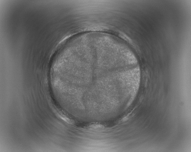 X0000054370203200508262350