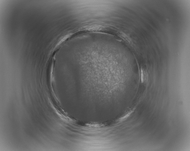 X0000054370205200508262350