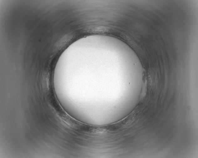 X0000054370206200508262350