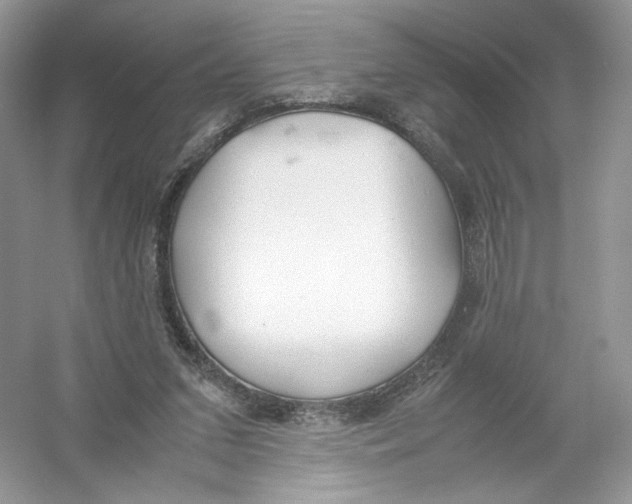 X0000054370207200508262350