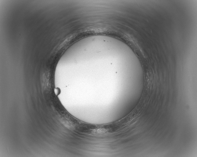 X0000054370212200508262350