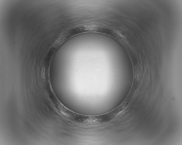 X0000054370213200508262350