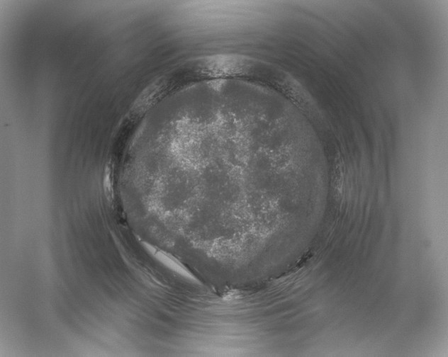 X0000054370214200508262350