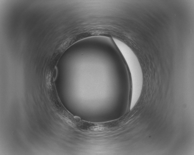 X0000054370219200508262350