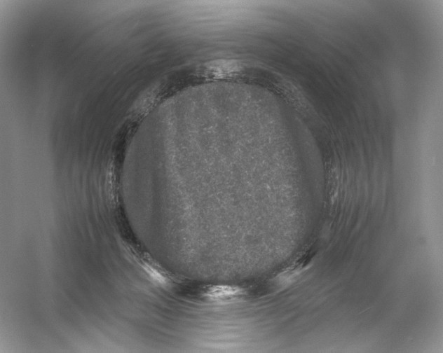 X0000054370222200508262350