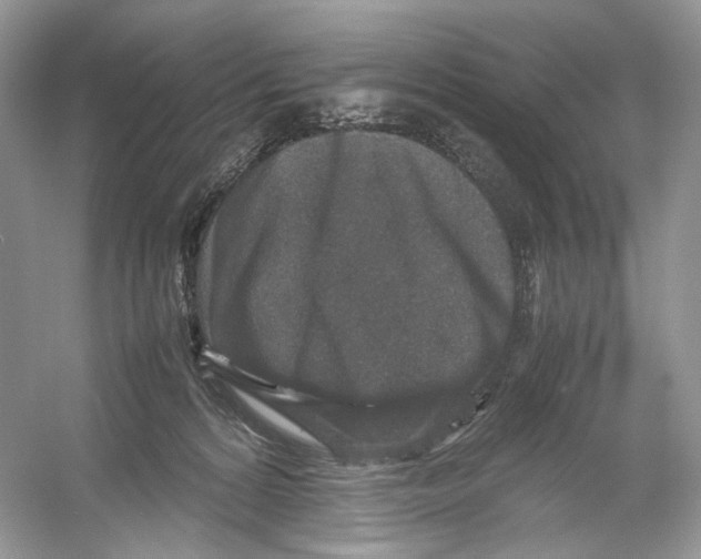 X0000054370224200508262349