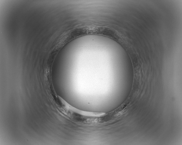 X0000054370225200508262349