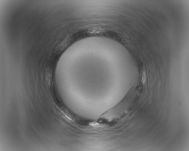 X0000054370227200508262349