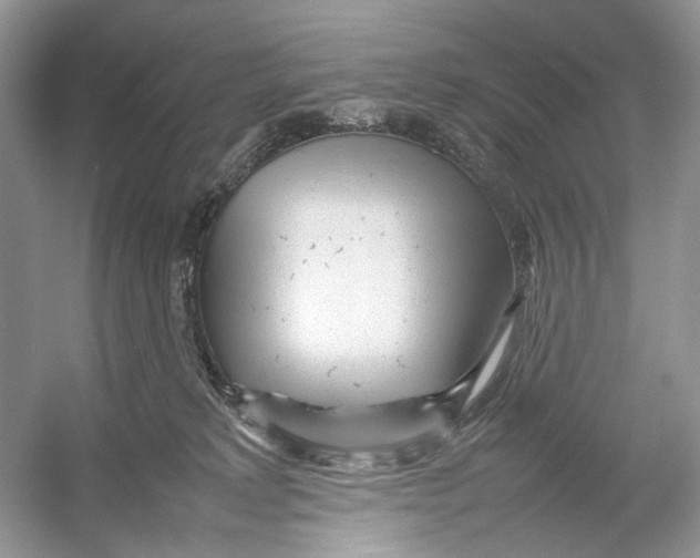 X0000054370229200508262349