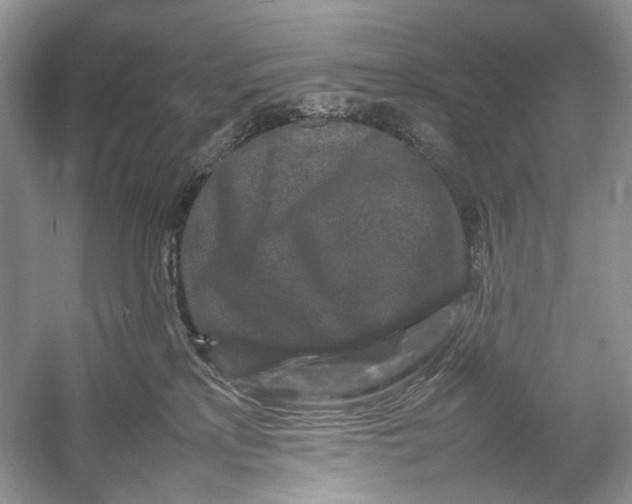 X0000054370233200508262349