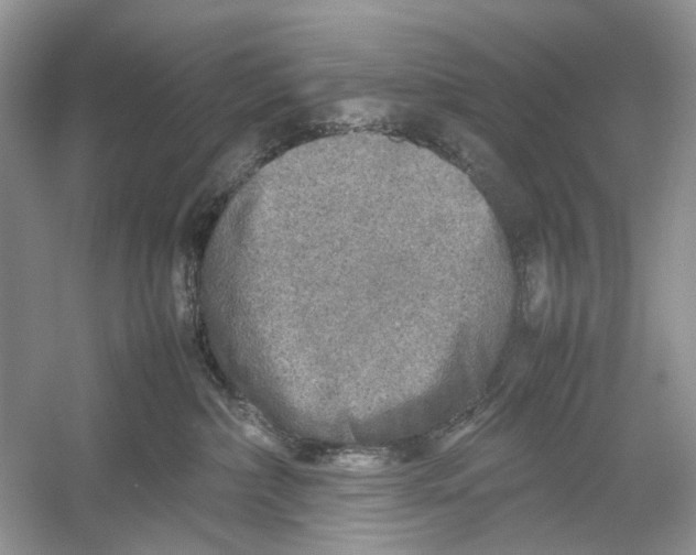 X0000054370236200508262349