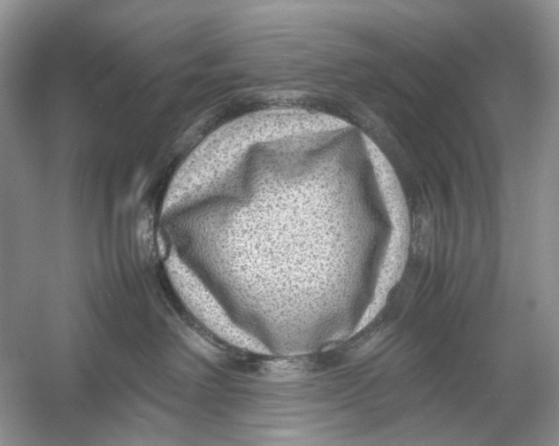 X0000054370238200508262349