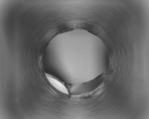 X0000054370239200508262349