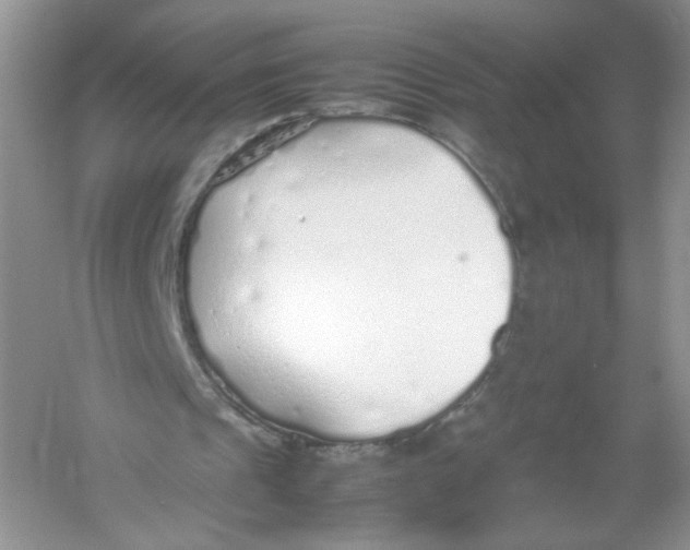 X0000054370241200508262348