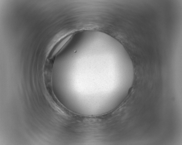 X0000054370242200508262348