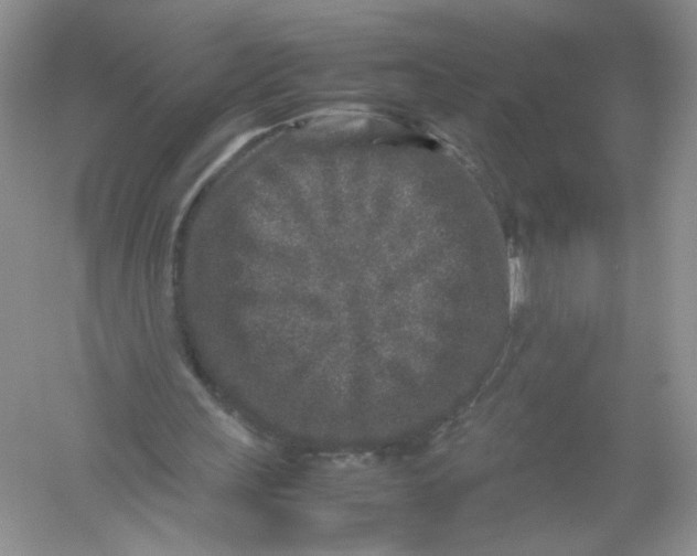 X0000054370243200508262348