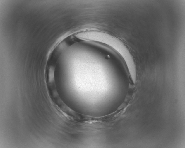 X0000054370244200508262348