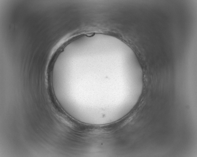 X0000054370246200508262348