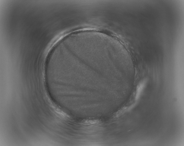 X0000054370247200508262348