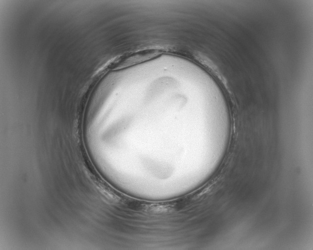 X0000054370249200508262349