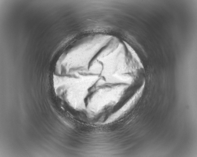 X0000054370250200508262349