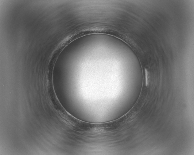 X0000054370252200508262349