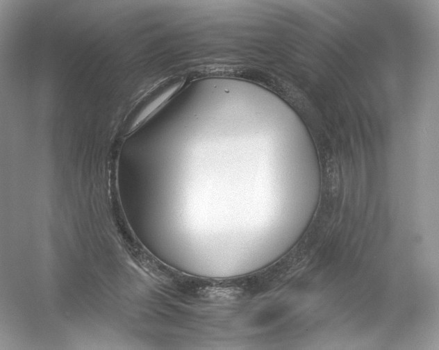 X0000054370255200508262349