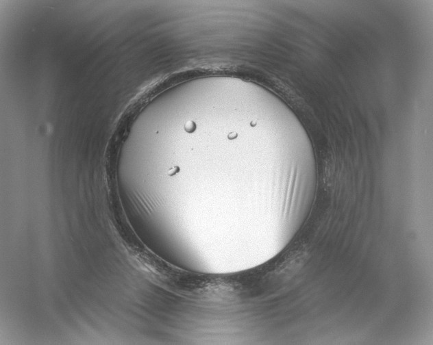 X0000054370256200508262349