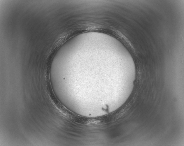 X0000054370257200508262349