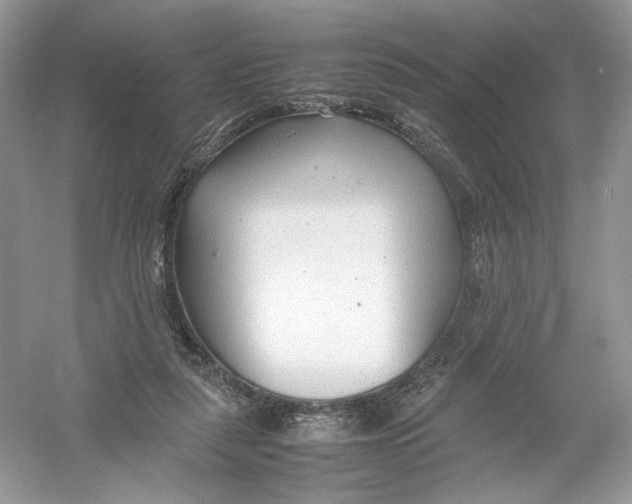 X0000054370259200508262349