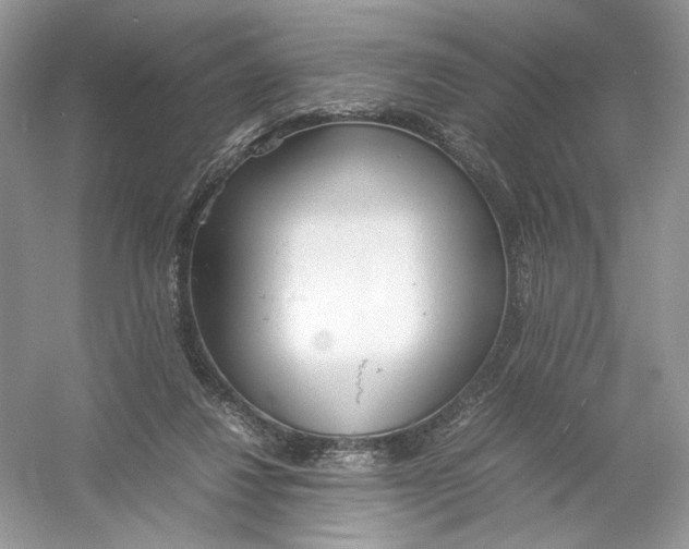 X0000054370260200508262349