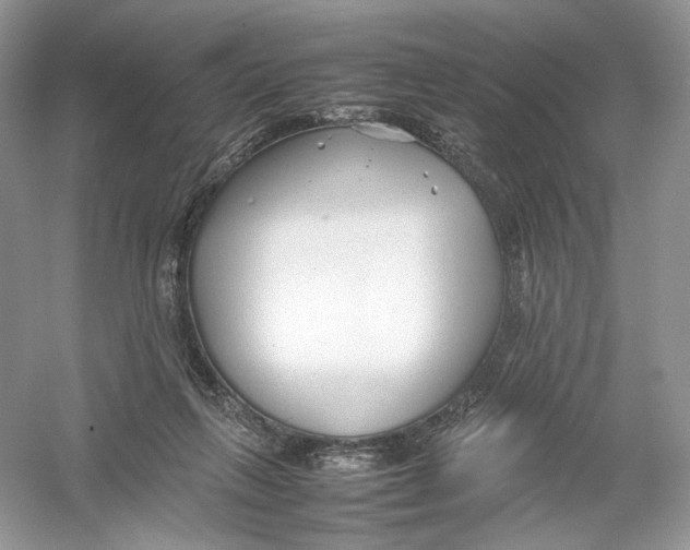 X0000054370263200508262349